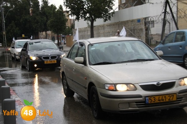 qafela sayarat haiywa (10).JPG